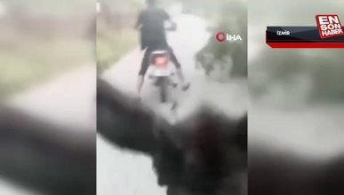 İzmir'de iki kişi motosiklete bağladığı eşeği kilometrelerce koşturdu