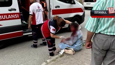 Ataşehir’de köpeğin saldırdığı kadın ağır yaralandı