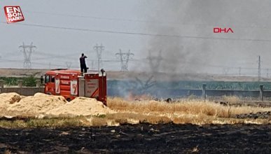 Diyarbakır'da kulübede çıkan yangın tarlaya sıçradı: 10 dönümlük buğday kül oldu