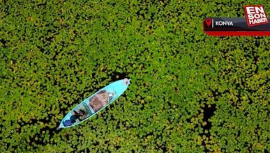 Nilüferlerle kaplı büyüleyici Beyşehir Gölü dron ile görüntülendi