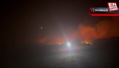 Türkiye genelinde orman yangınları