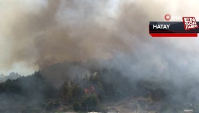 Hatay’da orman yangını başladı: Vatandaşlar tahliye ediliyor