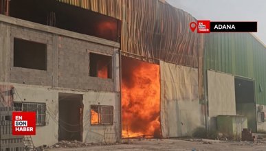 Adana'da geri dönüşüm tesisinde yangın çıktı