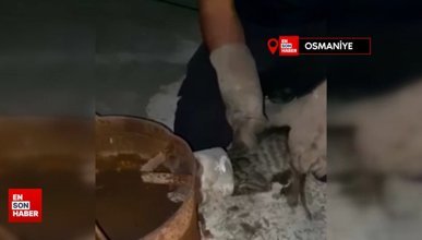 Osmaniye'de sobanın boru kısmına sıkışan kediyi itfaiye kurtardı