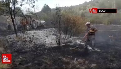 Bolu'da orman yangını büyümeden söndürüldü