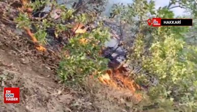 Hakkari'deki orman yangınında 3'üncü gün: Kısmen kontrol altında
