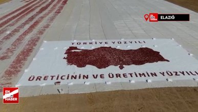 Elazığ'da mevsimlik tarım işçilerinden kurutmalık domateslerle dev Türkiye haritası