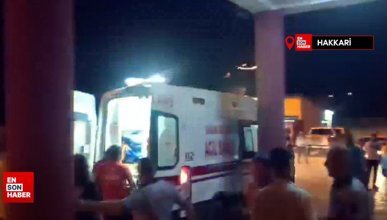 Hakkari'de otomobilin çarptığı kadın öldü