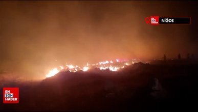 Niğde’de çıkan yangında 500 hektar mera alanı zarar gördü