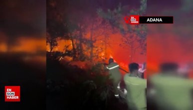 Kozan’da 5 ayrı noktada çıkan orman yangını kontrol altına alındı