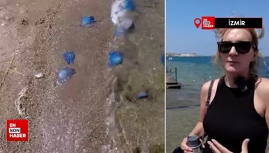 İzmir'e giden tatilciler denizanası engeline takıldı