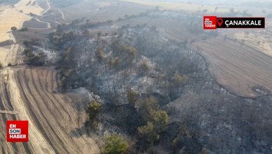 Çanakkale orman yangınında 2'nci gün: Ağaçlar küle döndü