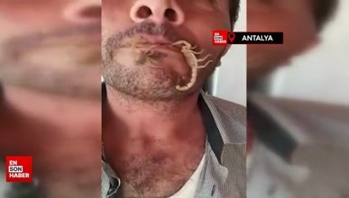 Akreplere kendini sokturdu, hayvan sevgisi dedi