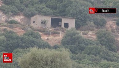 İzmir'de kesik baş cinayeti: Çoban birlikte olduğu adamı öldürdü