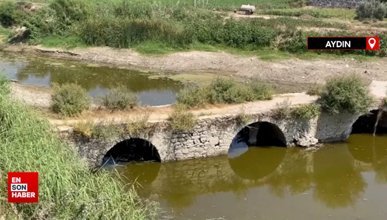 Büyük Menderes Nehri'nde kuraklık, balık ölümlerine neden oldu