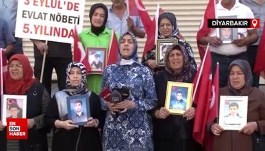 Diyarbakır annelerinden beşinci yıl çağrısı
