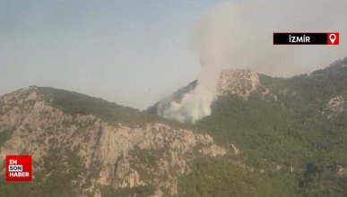 İzmir’in Kemalpaşa ilçesinde orman yangını