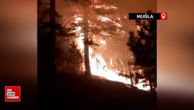 Muğla'nın Köyceğiz ilçesinde 3 ayrı yerde orman yangını çıktı