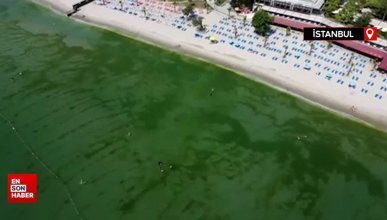 Kapatılan Florya Sahilinde deniz yeşile büründü