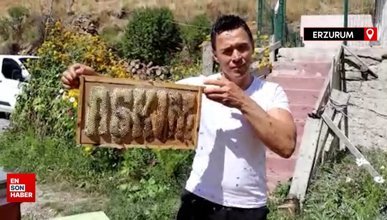 Erzurumlu arıcı uyguladığı teknikle peteklere yazı yazdı