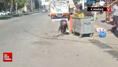 Kahramanmaraş'ta yaşlı kadın çöp kenarında biriken çöpleri süpürdü