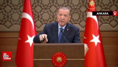 Cumhurbaşkanı Erdoğan Sezgin Tanrıkulu'nun ifadelerine tepki gösterdi