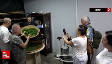 Rize'de çay turizmi: Yabancı gazeteciler tüm çay işleme sürecini deneyimledi