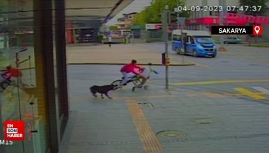 Sakarya'da sokak köpeğinden kaçan çocuğun bisiklet kazası kamerada