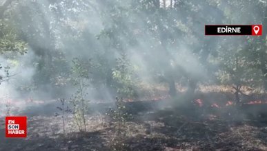 Edirne'de sınır hattında ormanlık alanda yangın çıktı