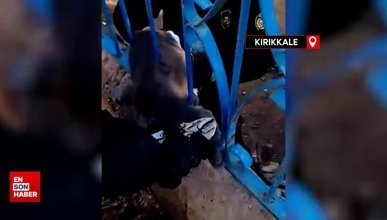 Demir korkuluğa sıkışan kedi kurtarıldı