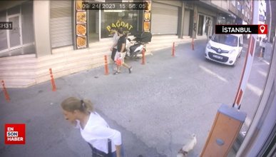 İstanbul'da süs köpeğini çalan kadın kameralara yansıdı: 24 saatte bulundu