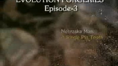 EVOLUTION FORGERIES EPISODE 3- NEBRASKA MAN