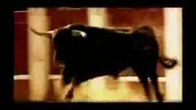 RONALDO ARENA VE BOĞA