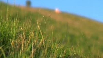 Jeff Crispy sevgililer günü özel kısa filmi