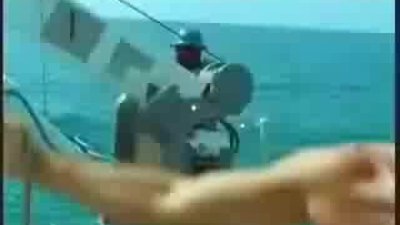 köpekbalığının karnından çıkan adam