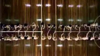 bikinili kız korosundan gösteri