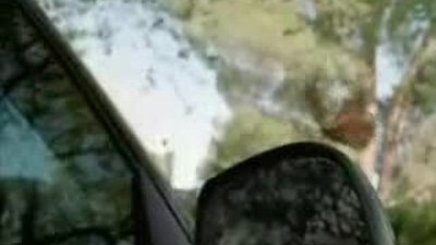 Masum bir kelebek in başa açtığı bela