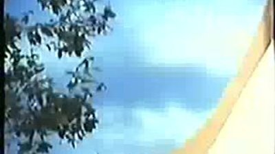 Güney fıstık reklamı