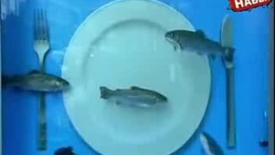 Yılın En yaratıcı reklam adayı