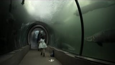 Hierro - Kabuslar Adası HD Fragman