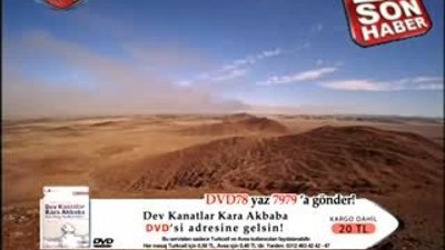Çöl Aslanlarının Eşek Avı HD