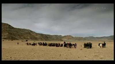 Kartal Tilki Avında