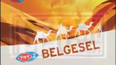 BBC Büyük Kedilerin Günlüğü - 2.Bölüm 1 / 2