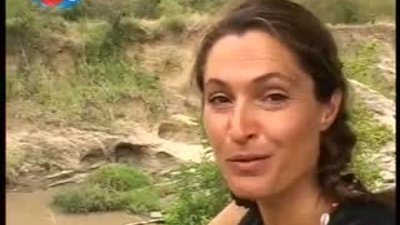 BBC Büyük Kedilerin Günlüğü - 5.Bölüm 2/2