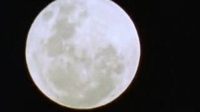 Leopar ve Sırtlan aynı av peşinde