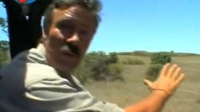 BBC Büyük Kedilerin Günlüğü - 25. Bölüm 2/2