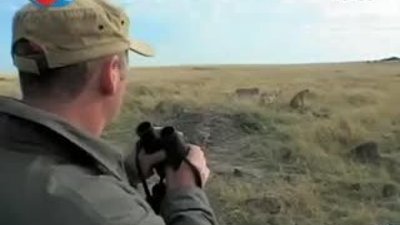 BBC Büyük Kedilerin Günlüğü - 27. Bölüm 2/2