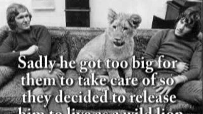 Christian ve Aslanlar