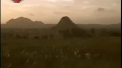 Piton ve Yarasalar Türkçe