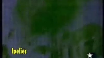 Yonca Evcimik - Abone (1991)